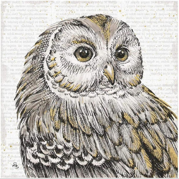 Millwood Pines Beautiful Owls I Unframed Painting Wayfair